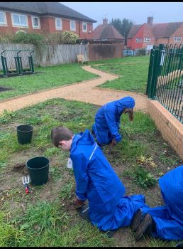 Westfield Community Garden 1